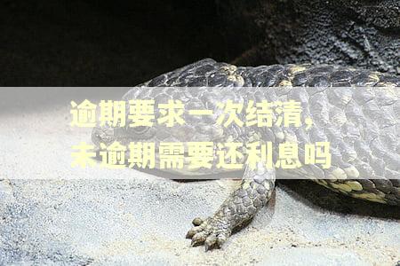 逾期要求一次结清,未逾期需要还利息吗