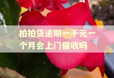 拍拍贷逾期一千元一个月会上门催收吗