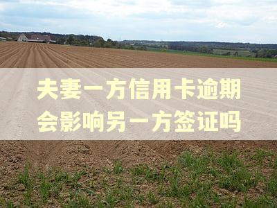 夫妻一方信用卡逾期会影响另一方签证吗