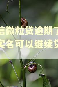 微信微粒贷逾期了更换实名可以继续贷款吗
