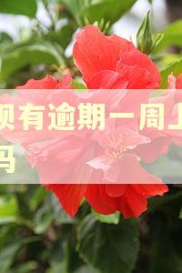 借呗有逾期一周上征信吗