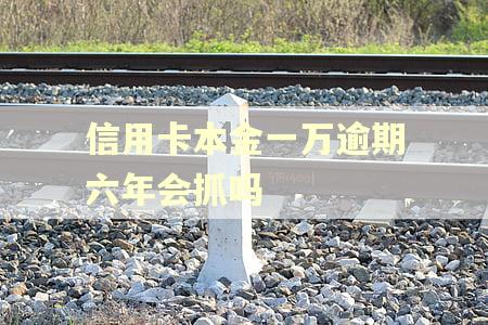 信用卡本金一万逾期六年会抓吗 信用卡本金一万逾期六年会抓吗