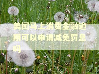 美团马上消费金融逾期可以申请减免罚息吗
