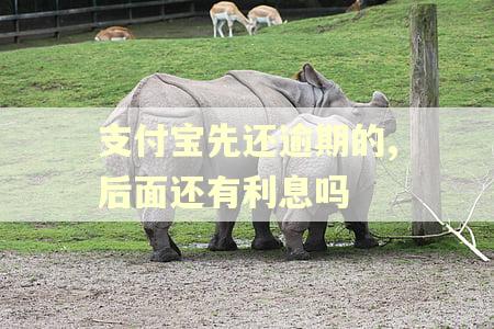 支付宝先还逾期的,后面还有利息吗