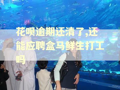 花呗逾期还清了,还能应聘盒马鲜生打工吗