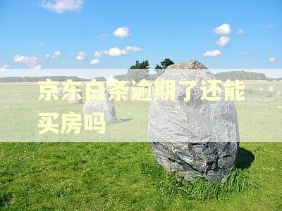 京东白条逾期了还能买房吗