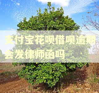 支付宝花呗借呗逾期会发律师函吗 支付宝花呗借呗逾期会发律师函吗