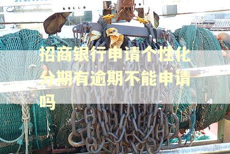 招商银行申请个性化分期有逾期不能申请吗 招商银行申请个性化分期有逾期不能申请吗