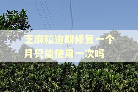 芝麻粒逾期修复一个月只能使用一次吗