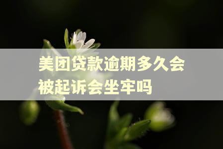 美团贷款逾期多久会被起诉会坐牢吗 美团贷款逾期多久会被起诉会坐牢吗