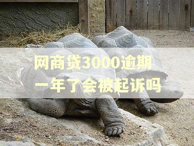 网商贷3000逾期一年了会被起诉吗