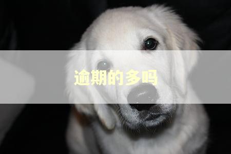 逾期的多吗