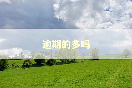 逾期的多吗