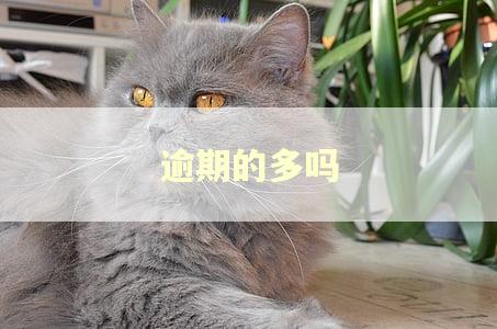 逾期的多吗 逾期的多吗