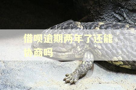 借呗逾期两年了还能协商吗 借呗逾期两年了还能协商吗