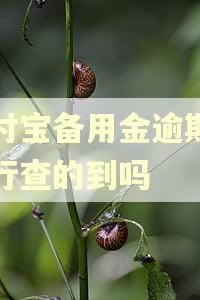 支付宝备用金逾期了银行查的到吗