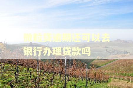 微粒贷逾期还可以去银行办理贷款吗