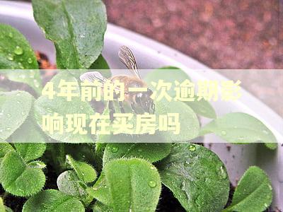 4年前的一次逾期影响现在买房吗