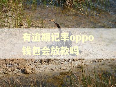 有逾期记率oppo钱包会放款吗 有逾期记率oppo钱包会放款吗