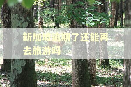新加坡逾期了还能再去旅游吗