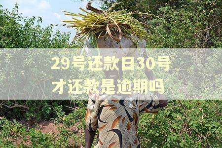 29号还款日30号才还款是逾期吗