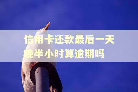 信用卡还款最后一天晚半小时算逾期吗