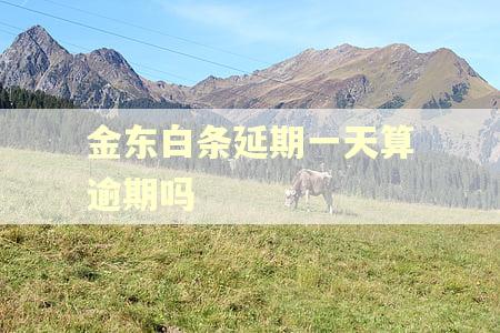 金东白条延期一天算逾期吗