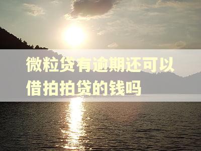 微粒贷有逾期还可以借拍拍贷的钱吗