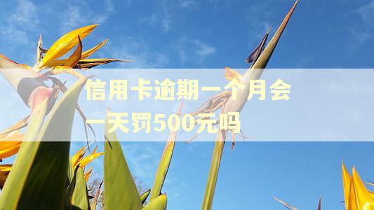 信用卡逾期一个月会一天罚500元吗
