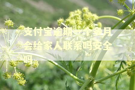 支付宝逾期一个多月会给家人联系吗安全吗