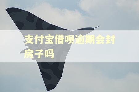 支付宝借呗逾期会封房子吗
