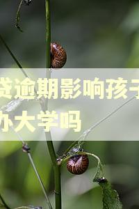 网贷逾期影响孩子上民办大学吗