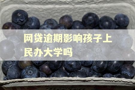 网贷逾期影响孩子上民办大学吗