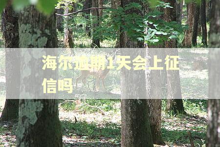 海尔逾期1天会上征信吗 海尔逾期1天会上征信吗