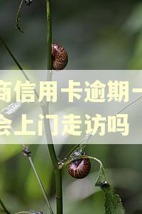招商信用卡逾期一年了会上门走访吗