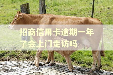 招商信用卡逾期一年了会上门走访吗 招商信用卡逾期一年了会上门走访吗