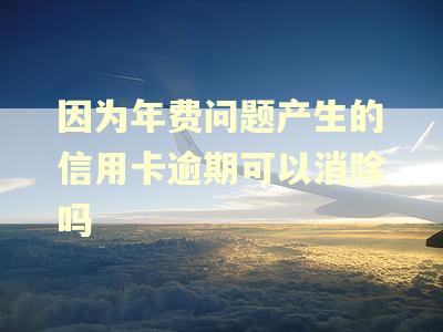 因为年费问题产生的信用卡逾期可以消除吗