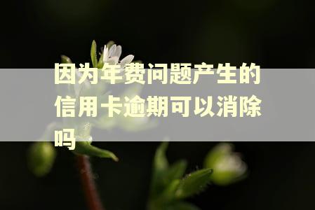 因为年费问题产生的信用卡逾期可以消除吗