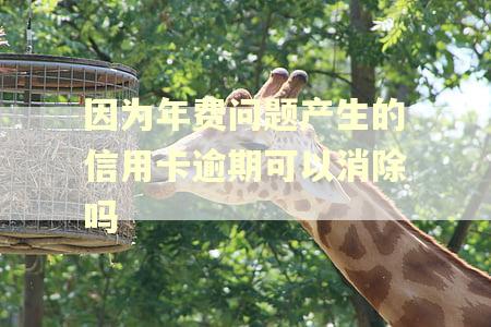 因为年费问题产生的信用卡逾期可以消除吗
