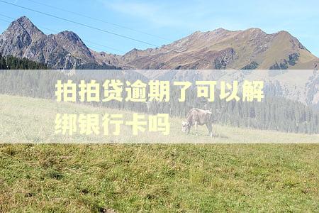 拍拍贷逾期了可以解绑银行卡吗