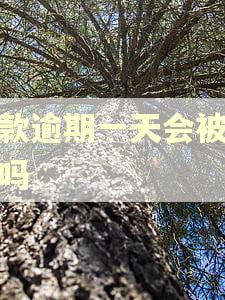 贷款逾期一天会被代偿吗 贷款逾期一天会被代偿吗