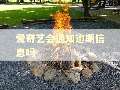爱奇艺会通知逾期信息吗 爱奇艺会通知逾期信息吗