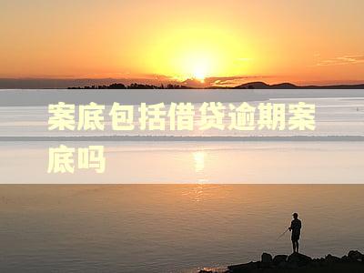 案底包括借贷逾期案底吗