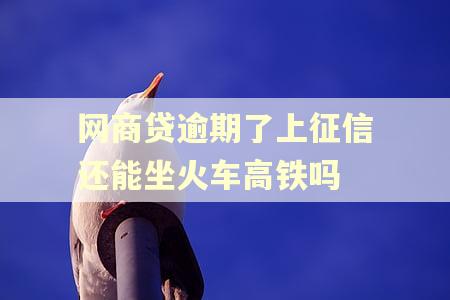 网商贷逾期了上征信还能坐火车高铁吗