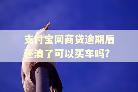 支付宝网商贷逾期后还清了可以买车吗?