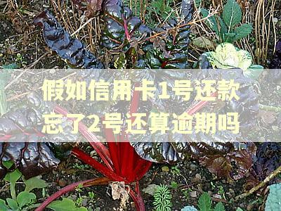 假如信用卡1号还款忘了2号还算逾期吗