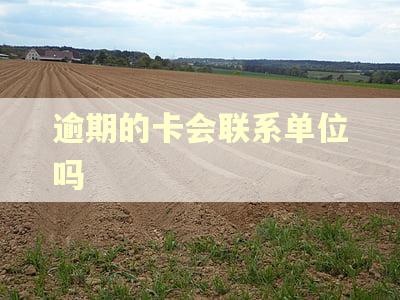 逾期的卡会联系单位吗
