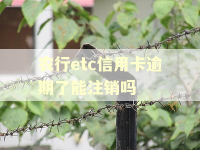 农行etc信用卡逾期了能注销吗