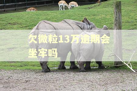 欠微粒13万逾期会坐牢吗