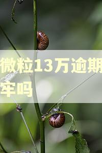 欠微粒13万逾期会坐牢吗